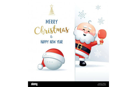 JOYEUSES FETES !!
